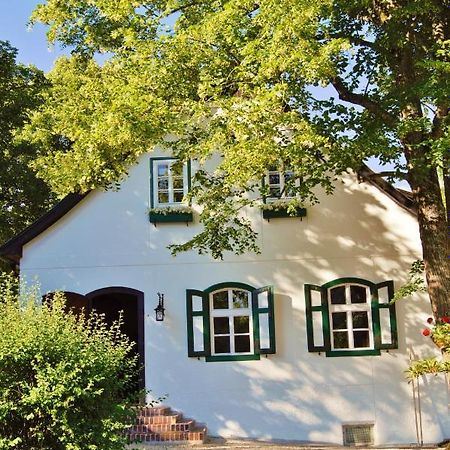 Muggendorf  Landsitz Oberhof Petit Hotel المظهر الخارجي الصورة